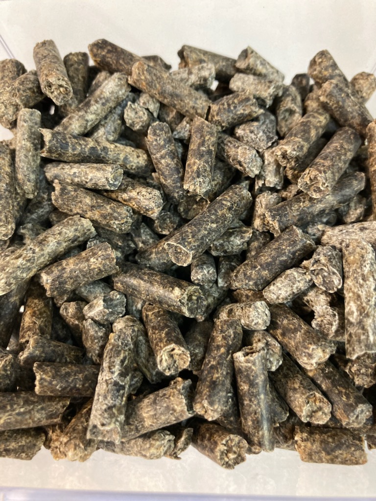 Pulpe de betterave déshydratée Talon CoProduits