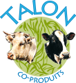 Logo_Talon